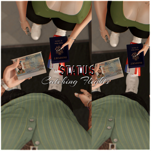 STATUS ~ Catching Flights