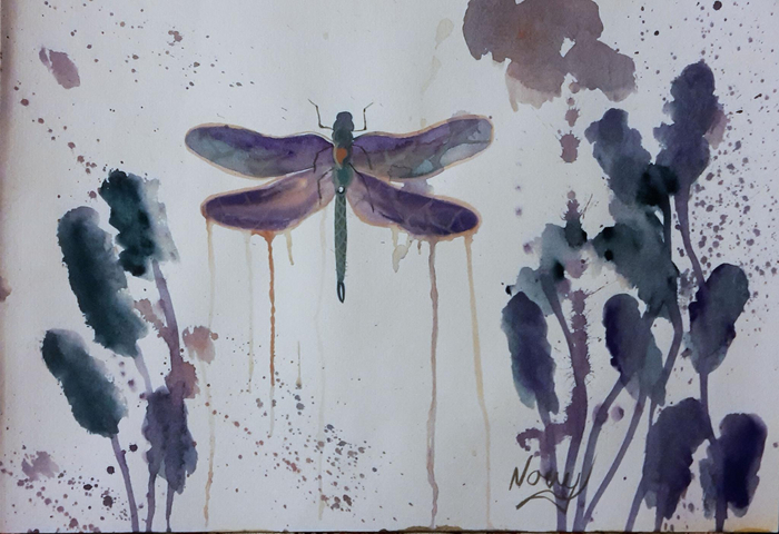 Midnight Dragonfly Framed