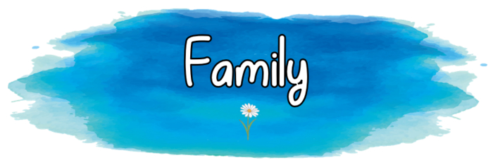 Trivia Daze - Family - For Trivia Balls