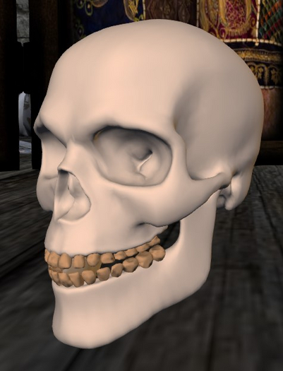 Skull_head
