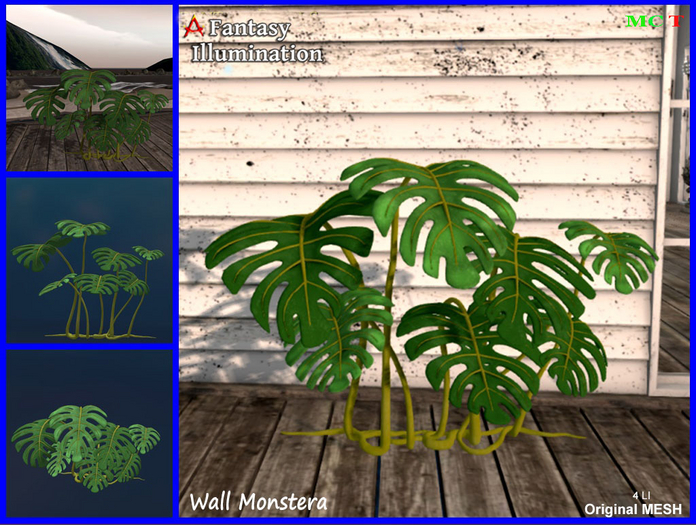 Wall Plant