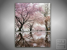 Cherry Blossom | Art Photo Poster | Mesh Clip Frame