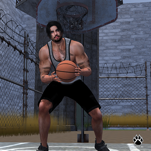 [Panthar, Inc.] Basketball Yard