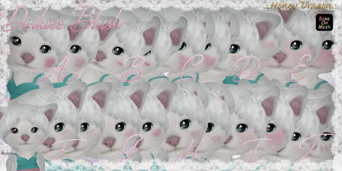 .:.H/D.:. Dinkie Blush / Fatpack [22GDAM0]