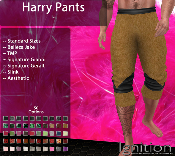 Ignition Harry Pants