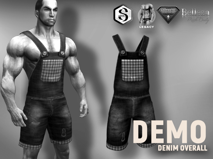 [7/11] Overall Denim *** DEMO ***