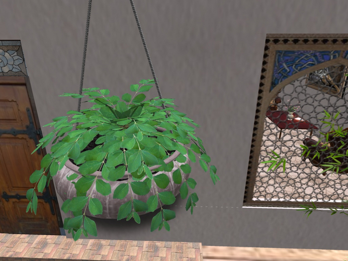 Hanging plant