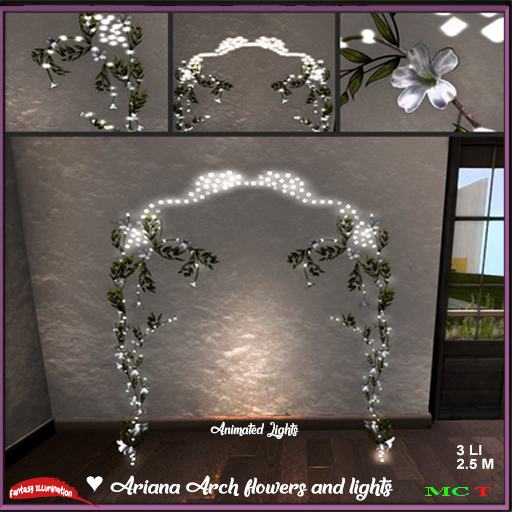 Arch Lights 