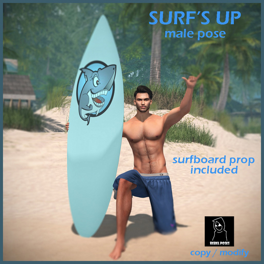 -RP- Surf's Up Male Pose