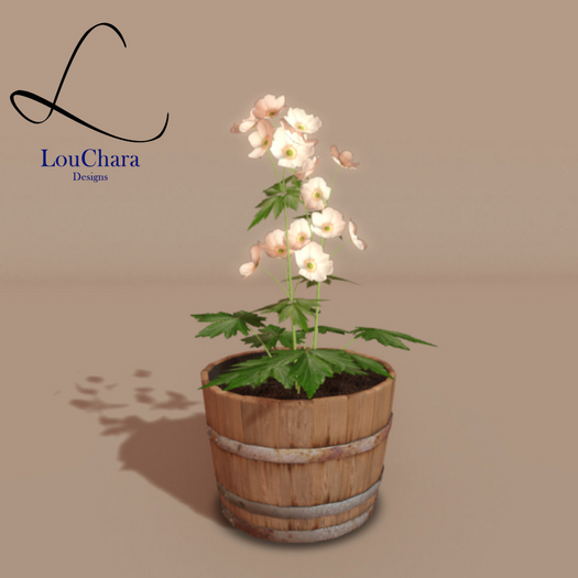 LouChara Patio Pot 