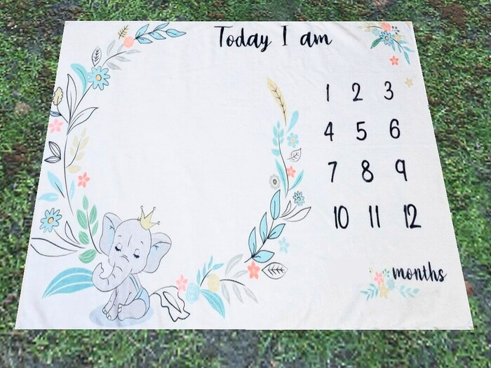 Elephant Baby Monthly Calendar