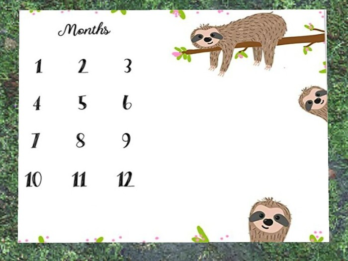Slothy Baby Monthly Calendar
