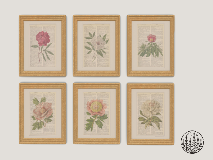 .spruce. pretty peony prints {original set}
