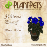 PlantPet Seed [Hibiscus Dwarf *Deep Blue*] Rare Elite