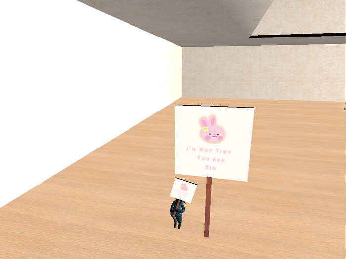 I'm Not Tiny You Are Big sign for dinkie and bladen cat