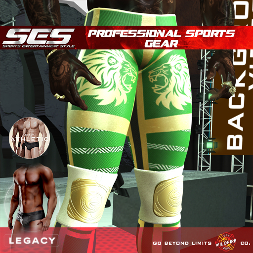 SES: Professional Sports Gear (Legacy M)