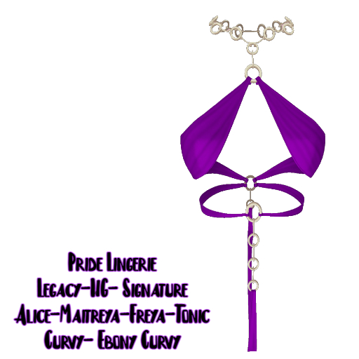 -IC- Purple Pride Lingerie