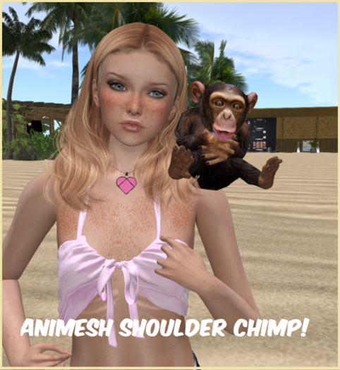 ANIMESH SHOULDER MONKEY !