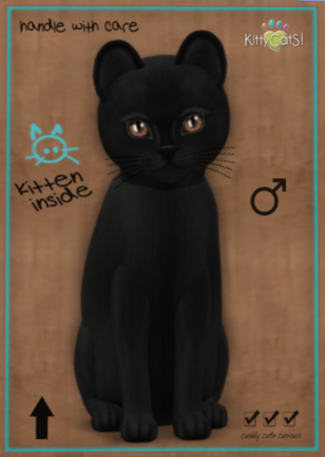 9T Russian Black - Cognac