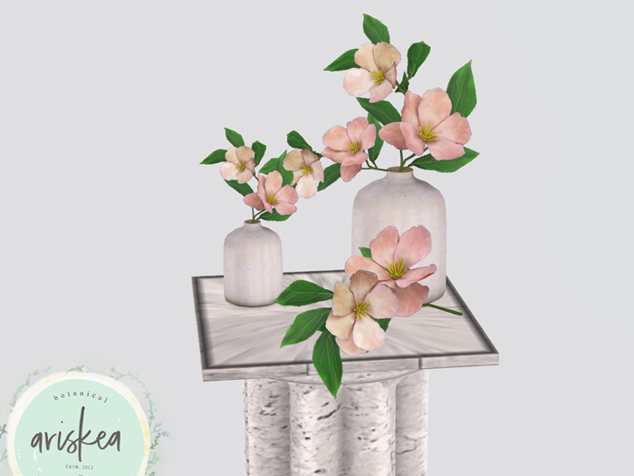 Ariskea[Magnolia] Peach