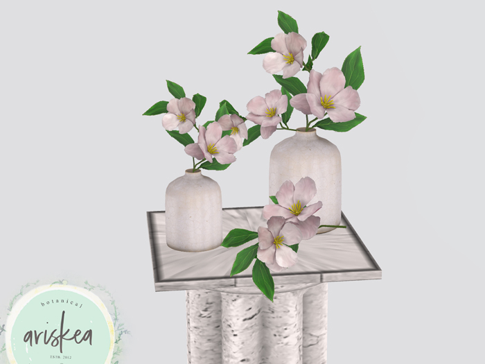 Ariskea[Magnolia] Ivory