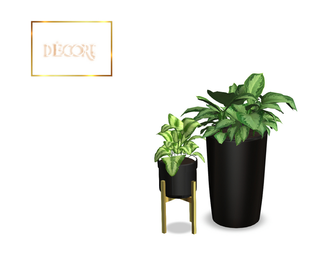 Decor'e - 2 potted plants * BLACK & GOLD 
