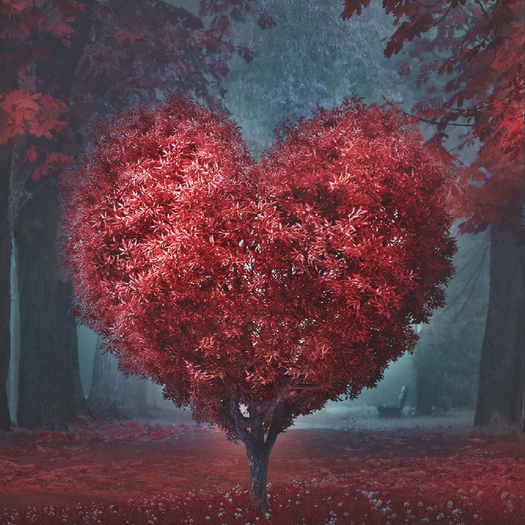 Heart Tree