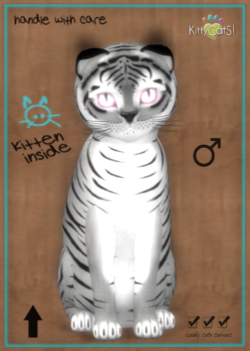 9T Tiger! Shadow - Fancie Rose Diamond