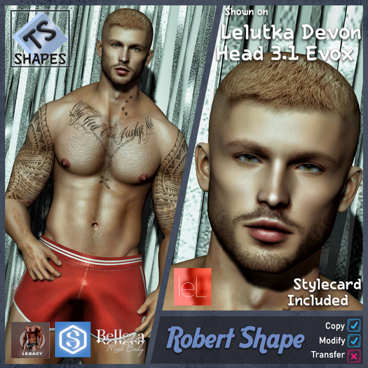 Rob Shape Second Life Marketplace - -TS- Robert Shape (For Devon 3.1 EVOX Head ...