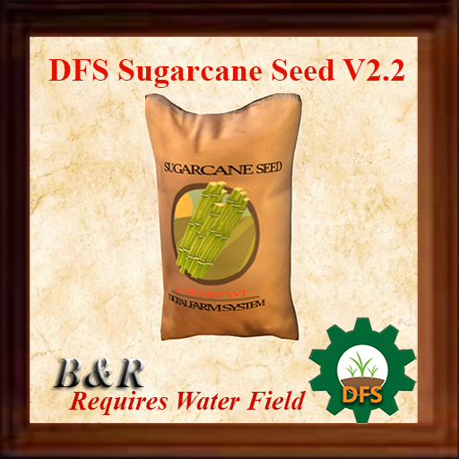 DFS Sugarcane Seed [ Actual item ]  