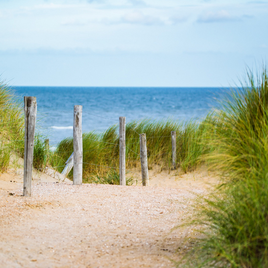 Beach Entry