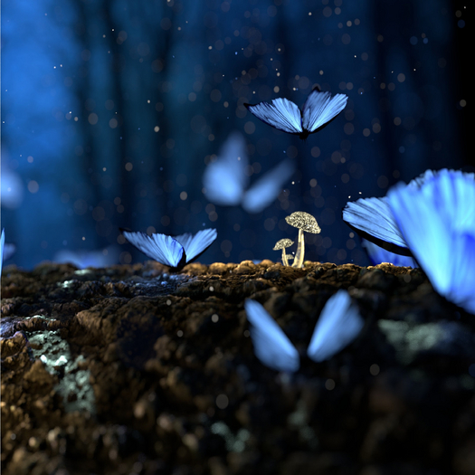 Blue Butterflies