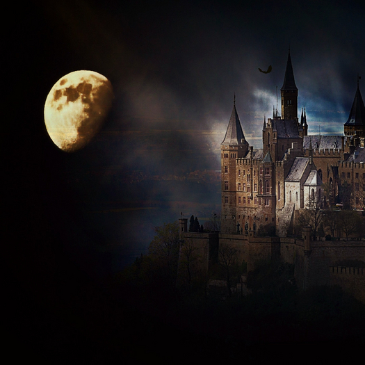 Castle By Moonlight