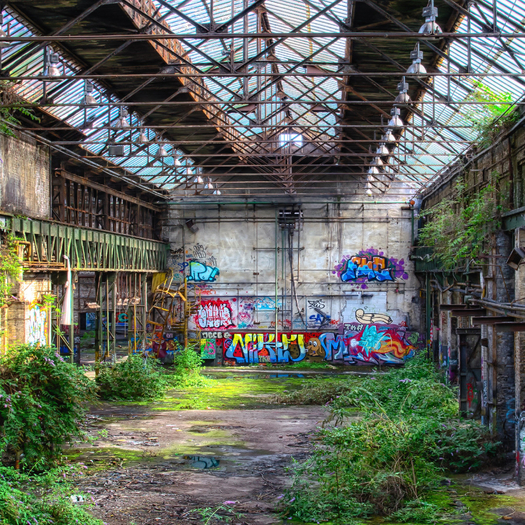 Overgrown