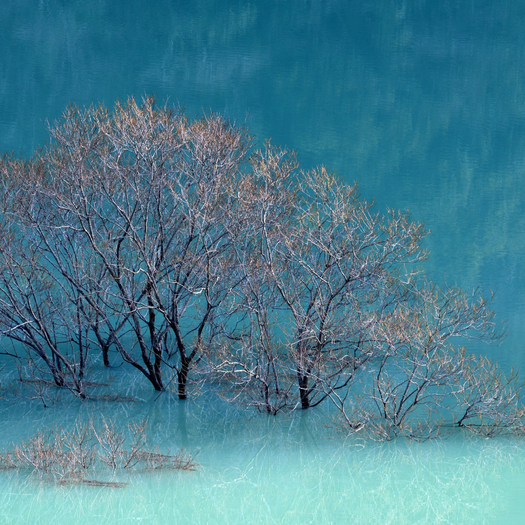 Frozen