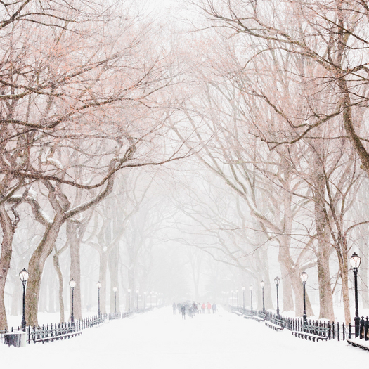 Snow Fall Pink Arch