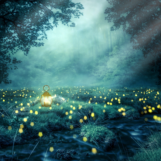Lantern Forest