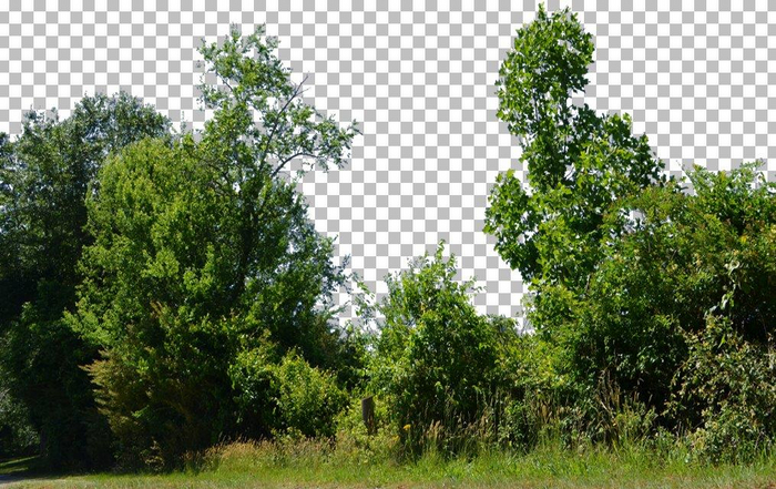 552 - Trees and Bushes - Land Divider - Land Decoration - Privacy Screen
