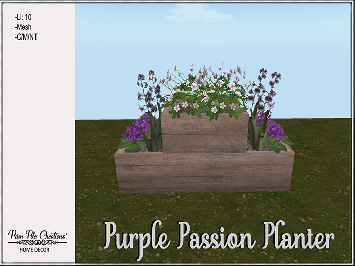 ~PPC~ Purple Passion Planter  