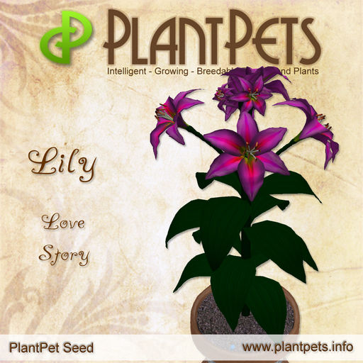 PlantPet Seed [Lily *Love Story*] Rare