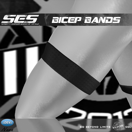 SES: Bicep Bands (Nana) **DEMO**