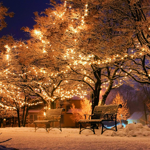 Winter Lane