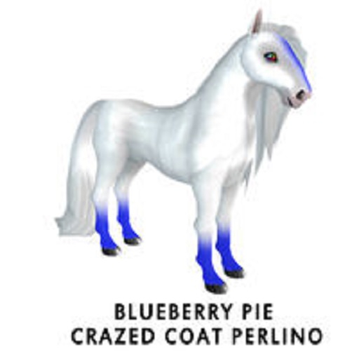 Blueberry Pie Crazed Coat Perlino/Divinity Bundle (F)