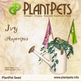 PlantPet Seed [Ivy *Asperitas*] common Release Day 14.08.2021