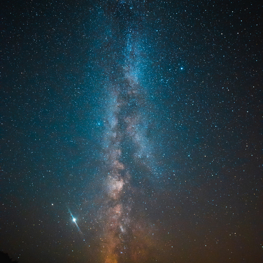 Stars