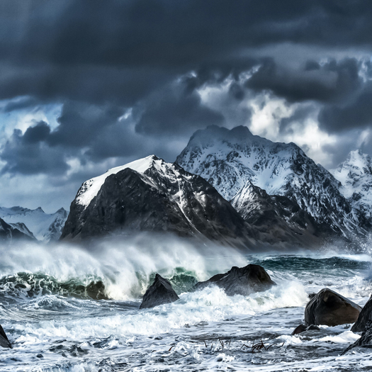 Wild Sea