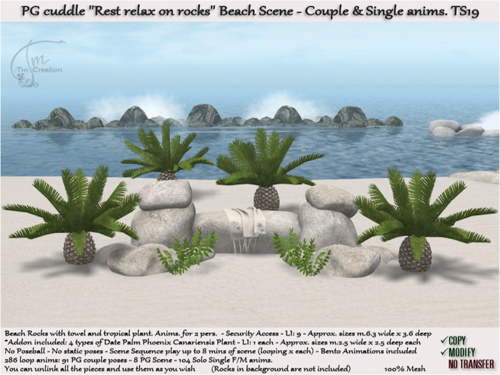 Beach Rocks Palm Tree Rest relax PG TS19