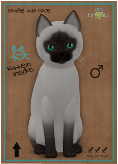 KittyCatS Box - Siamese - Chocolate