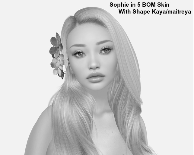 Sophie demo bom sdkins