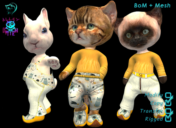 Dinkie Summer Farewell Boys - Space Kitties